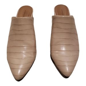 Pointed toes Mules